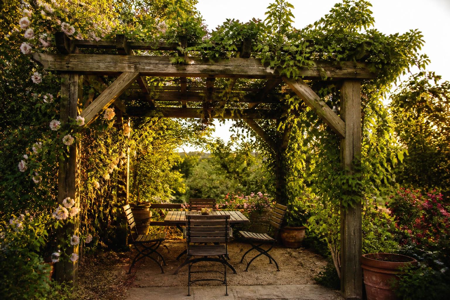 découvrez 10 plantes grimpantes idéales pour pergola, nécessitant peu ou pas d'entretien, parfaites pour embellir votre espace extérieur en toute simplicité.