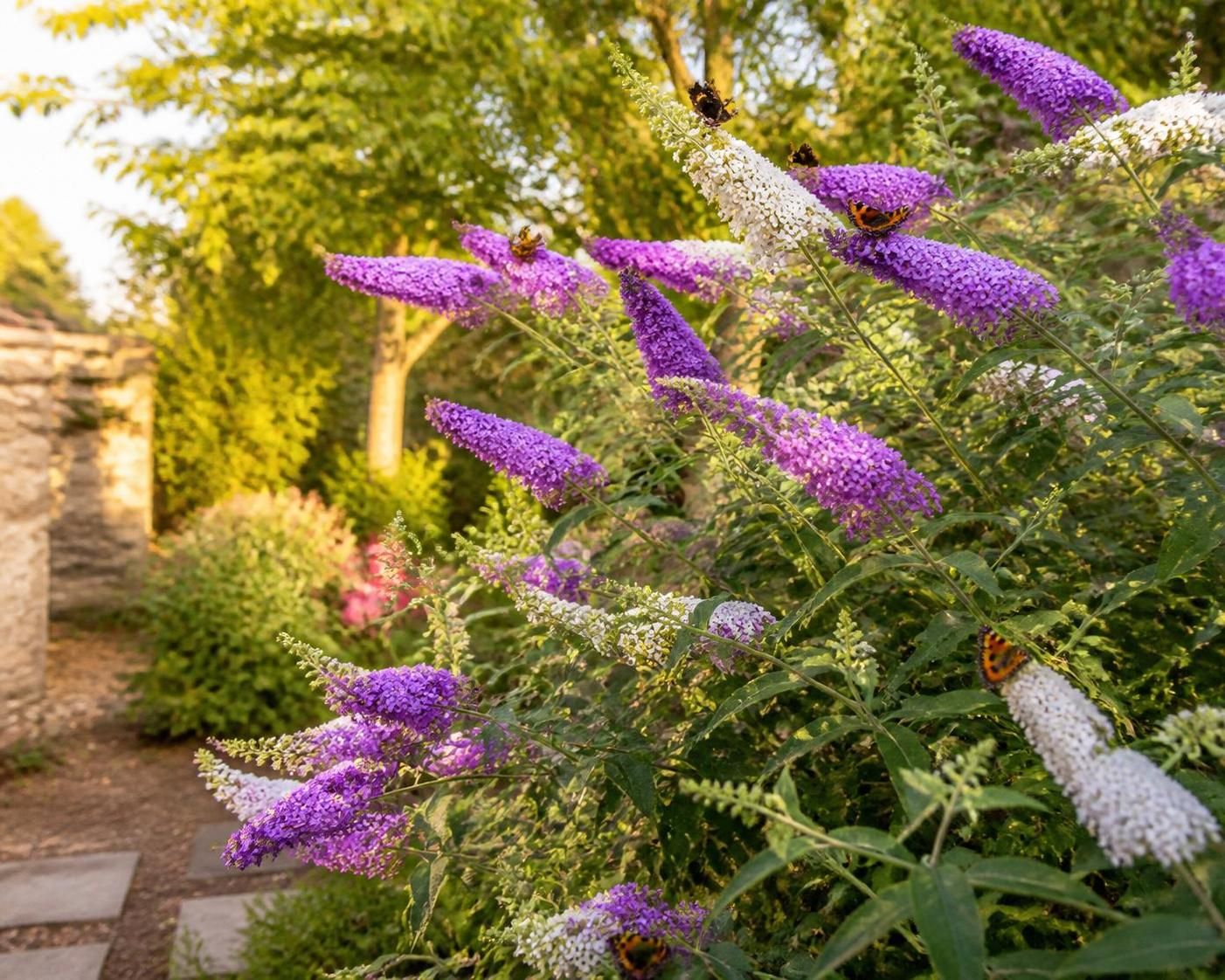 découvrez comment planter, tailler et entretenir votre arbre à papillon (buddleia) pour attirer les papillons et embellir votre jardin toute l'année.