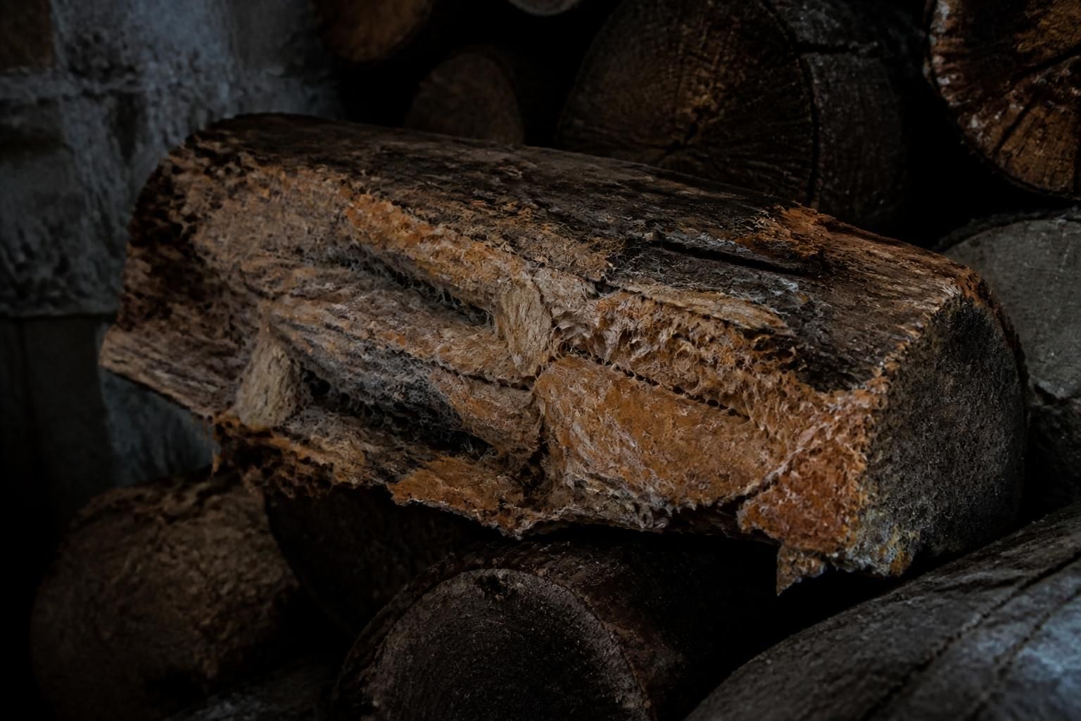 découvrez comment reconnaître et éliminer rapidement la mérule sur votre bois de chauffage pour préserver votre maison et votre santé.