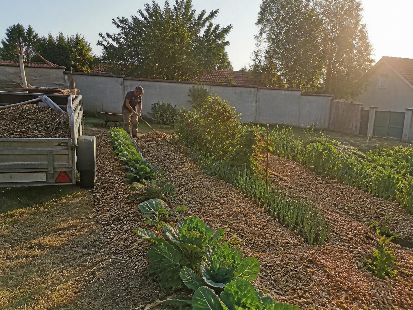 découvrez où et comment obtenir des copeaux de bois gratuits pour enrichir et protéger votre jardin de manière économique et écologique.