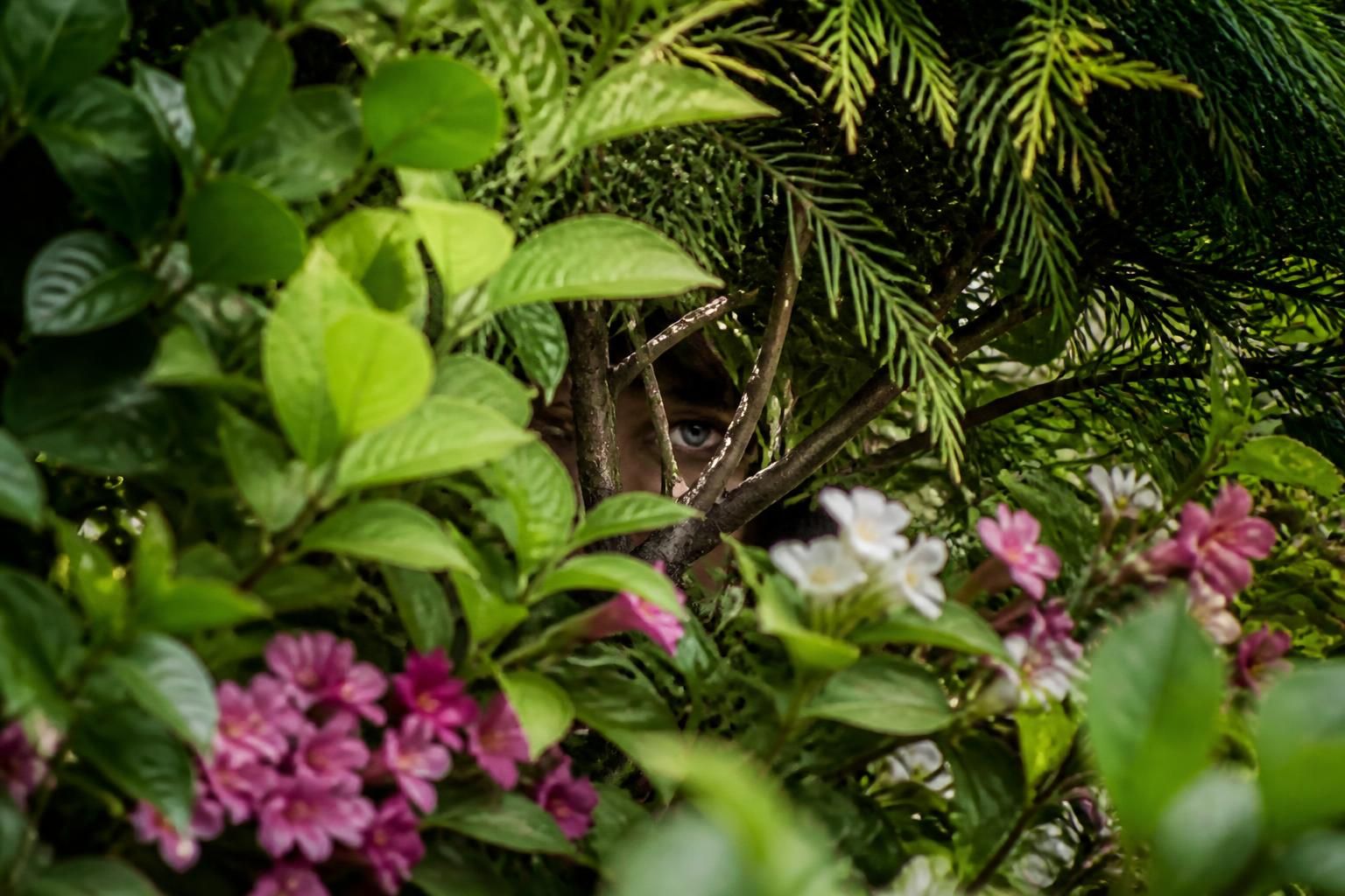 découvrez des idées et astuces efficaces pour camoufler un regard dans votre jardin et créer un espace intime et esthétique.