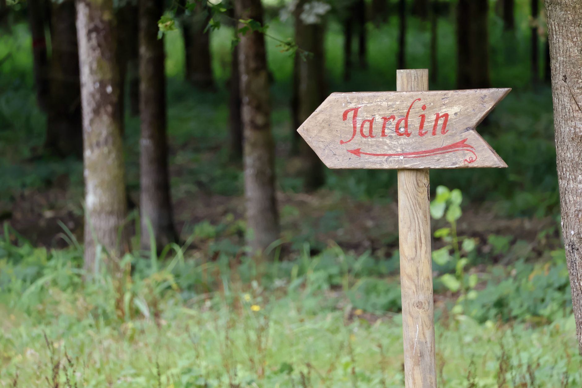Cacher un regard dans un — Cacher un regard dans un jardin : idées et astuces de camouflage