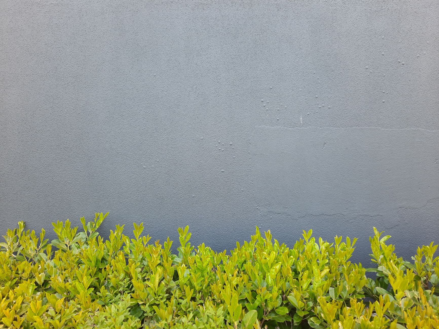 Nettoyer un mur extérieur sans — nettoyage mur extérieur méthodes naturelles